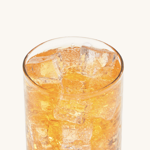 Fizi PRO Automatic Countertop Soda Dispenser